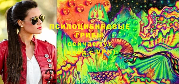 круглые Абаза