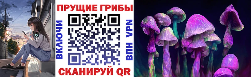 mega   цены   Райчихинск  Галлюциногенные грибы GOLDEN TEACHER 